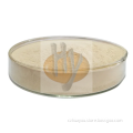 /msite/products/detail/productid/63275184/id/1521434.html